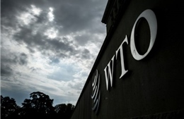 Các bộ trưởng thương mại từ hàng chục nước họp tại Canada bàn về cải cách WTO