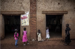Phạt tù 3 tháng nếu che giấu bệnh nhân nghi nhiễm Ebola tại Congo 