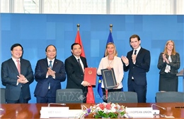 Chuyến công du của Thủ tướng: Cột mốc mới trong quan hệ Việt Nam và các đối tác châu Âu 