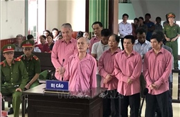 Tuyên phạt 9 bị cáo 81 năm tù trong vụ &#39;xóa sổ&#39; rừng ở Bình Định