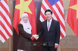 Phó Thủ tướng Phạm Bình Minh hội đàm với Phó Thủ tướng Malaysia
