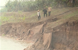Xuất hiện 2 vết nứt sạt mái đê tả sông Hồng tại Hưng Yên