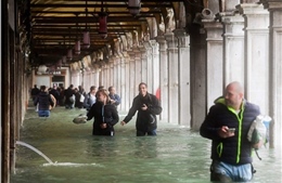 Thành Venice ngập gần như hoàn toàn trong nước sâu 1,5 mét