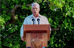 Cuba công bố hoạt động của Chủ tịch Miguel Díaz-Canel tại Việt Nam 