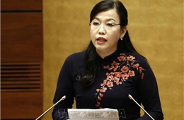 Báo cáo kết quả giám sát việc giải quyết, trả lời kiến nghị của cử tri