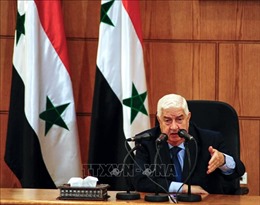 Chính phủ Syria nỗ lực tìm giải pháp chính trị