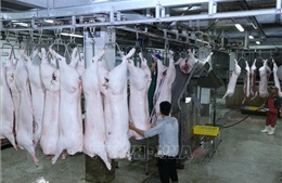 Tăng cường phòng, chống buôn lậu, kinh doanh thịt lợn không rõ nguồn gốc