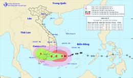 Từ trưa và chiều 24/11, bão số 9 gây gió giật cấp 8-9 từ Ninh Thuận đến Bà Rịa - Vũng Tàu