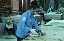 Năm 2018, xuất khẩu lâm sản ước đạt 9,3 tỷ USD