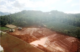 Mở đợt trấn áp tội phạm san ủi đất rừng tại huyện Lạc Dương, Lâm Đồng