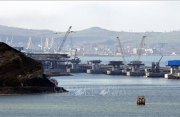  Nga nới lỏng phong tỏa các cảng biển của Ukraine trên Biển Azov