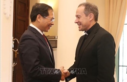 Triển khai nâng cấp quan hệ Việt Nam - Vatican