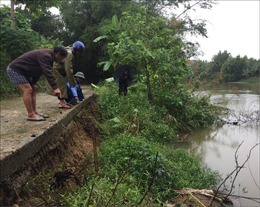 Bờ sông Bồ sạt lở nghiêm trọng, hàng trăm hộ dân bị ảnh hưởng