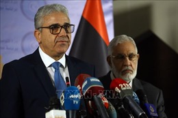 Libya kêu gọi dỡ bỏ một phần lệnh cấm vận vũ khí để tăng cường an ninh