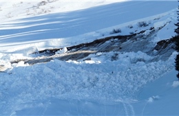 Lở tuyết ở miền Bắc Na Uy, bốn du khách mất tích 