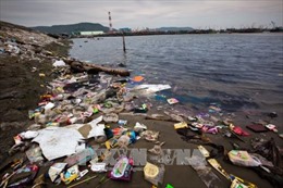 Cần hoàn thiện các quy định pháp luật về kiểm soát ô nhiễm môi trường biển