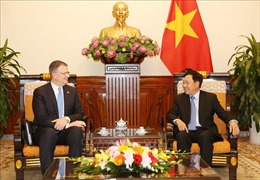 Phó Thủ tướng Phạm Bình Minh tiếp Đại sứ Hoa Kỳ Daniel Kritenbrink