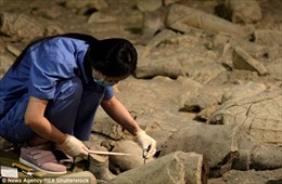 Trung Quốc khai quật khu lăng mộ có niên đại hơn 1.500 năm