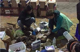Giải cứu 215 con tê tê, bắt giữ 9 đối tượng buôn bán động vật quý hiếm
