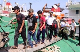 11 ngư dân trên tàu cá bị hỏng máy trên biển đã vào bờ an toàn