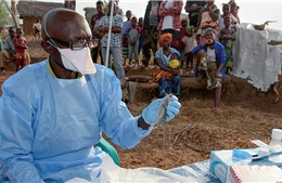  Bùng phát dịch sốt Lassa ở Nigeria, 16 người chết