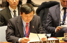 Việt Nam kêu gọi thúc đẩy sự tuân thủ các nghị quyết về Trung Đông