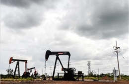 Thị trường dầu mỏ diễn biến trái chiều trước khả năng Mỹ áp đặt trừng phạt Venezuela