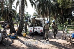 Nghi thảm sát ở CHDC Congo, ít nhất 535 người đã bị sát hại