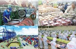 Kinh tế tăng trưởng nhanh, đất nước vững bước phát triển