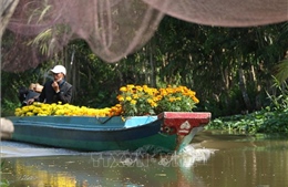 Thuyền hoa xuân trên sông nước Hậu Giang 