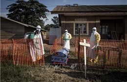 Dịch Ebola bùng phát, 502 người thiệt mạng tại Congo 