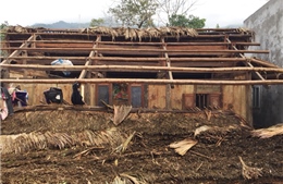 Dông lốc gây thiệt hai nặng nề nhiều nơi ở Hà Giang 