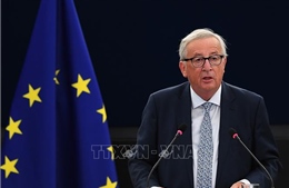 Chủ tịch EC không loại trừ khả năng Anh tham gia bầu cử EP