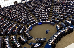 Nghị viện châu Âu ủng hộ khởi động đàm phán hạ thuế quan với Mỹ