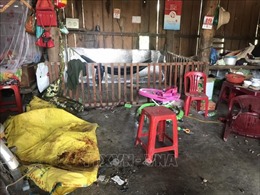 Đắk Lắk: Khẩn trương điều tra vụ nổ khiến 4 người bị thương