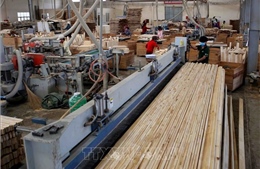 Mỹ tiếp tục là đối tác thương mại hàng đầu của Việt Nam