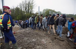 Bosnia Herzegovina lo ngại làn sóng di cư mới