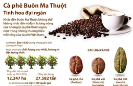Cà phê Buôn Ma Thuột - Tinh hoa đại ngàn
