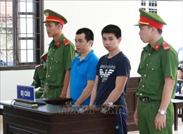 Ninh Thuận: Hai anh em giết cha ruột lĩnh án tù