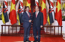 Hợp tác biển là một trụ cột trong quan hệ Đối tác toàn diện Việt Nam - Brunei