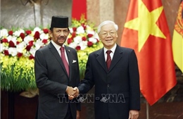 Quốc vương Brunei Darussalam kết thúc chuyến thăm cấp Nhà nước tới Việt Nam
