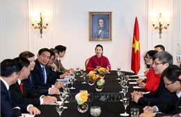 Chủ tịch Quốc hội Nguyễn Thị Kim Ngân gặp mặt Ban tổ chức &#39;Diễn đàn người Việt có tầm ảnh hưởng&#39;
