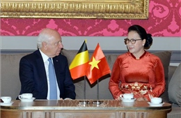 Bỉ mong muốn tăng cường hơn nữa mối quan hệ hợp tác với Việt Nam