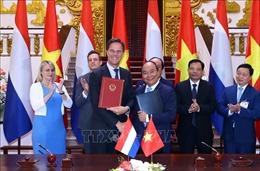 Nhất trí nâng cấp quan hệ Việt Nam - Hà Lan lên Đối tác toàn diện