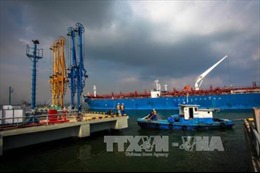 Nghiên cứu các vị trí phù hợp để thay thế Bến cảng xăng dầu B12 ở Quảng Ninh
