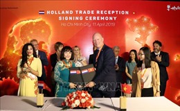 Hà Lan đẩy mạnh hợp tác với TP Hồ Chí Minh và các địa phương của Việt Nam