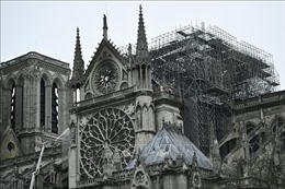 Tổng thống Pháp cam kết phục dựng Nhà thờ Đức Bà trong vòng 5 năm