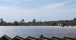 Khánh thành Nhà máy điện mặt trời đầu tiên ở Quảng Ngãi