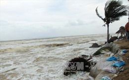  Nhiều tuyến kè biển Hội An bị sóng biển &#39;tấn công&#39;, sạt lở nghiêm trọng