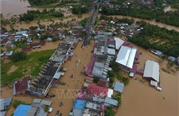 Tám công ty khai thác than bị cáo buộc khiến lũ lụt xảy ra ở Bengkulu, Indonesia